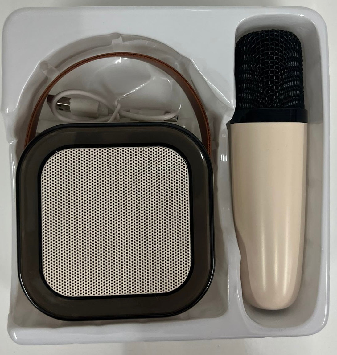 CASSA CON MICROFONO