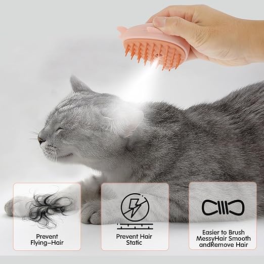 Riparato a vapore per gatto spargimento da 3 in 1 spruzzo di gatto a spruzzo con serbatoio dell'acqua USB Respacci a vapore ricaricata a vapore efficiente spazzola