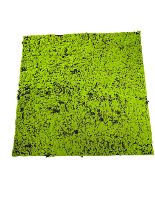Pannello Muschio 1mtx1mt