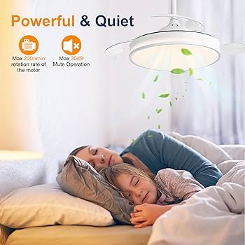 Ventilatore da soffitto con illuminazione, ventilatore da soffitto, silenzioso, con timer per ventilatore, lampada da soffitto con telecomando,